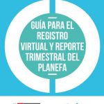 Guía para el registro virtual y reporte trimestral del Planefa