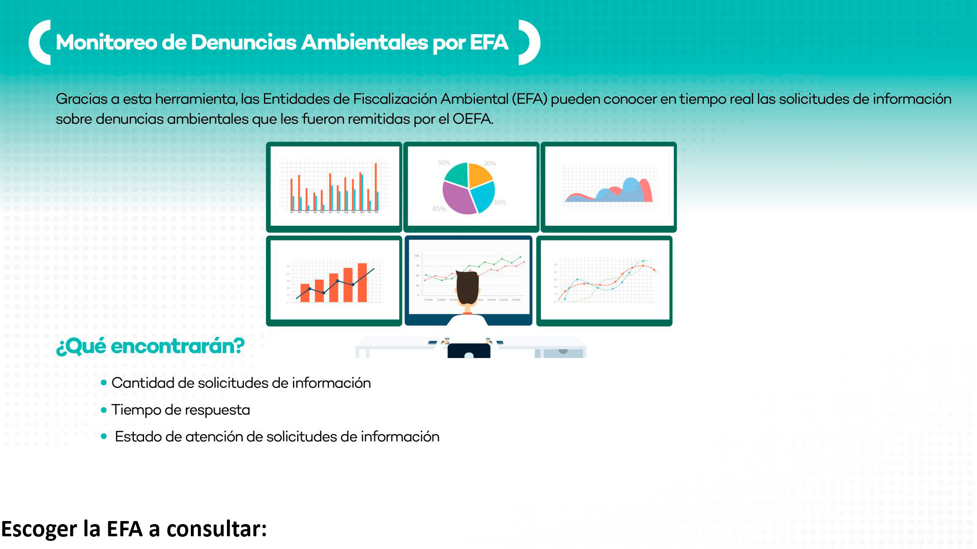 Servicio de Información Nacional y Denuncias Ambientales – OEFA